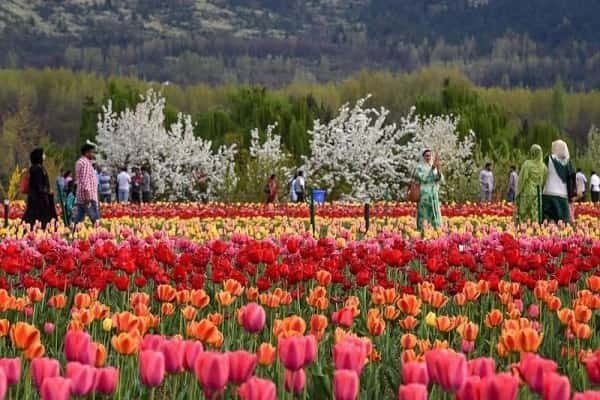 Kashmir Tour Packages From Malaysia
