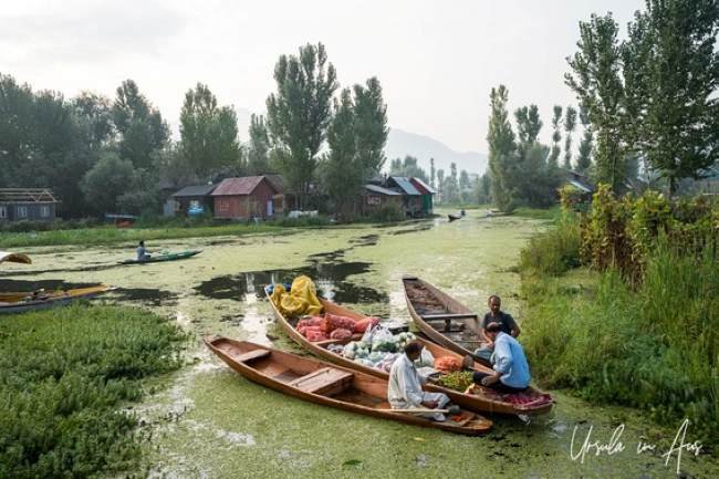 Cheapest Kashmir tour packages for couple - sunset shikara on Dal Lake