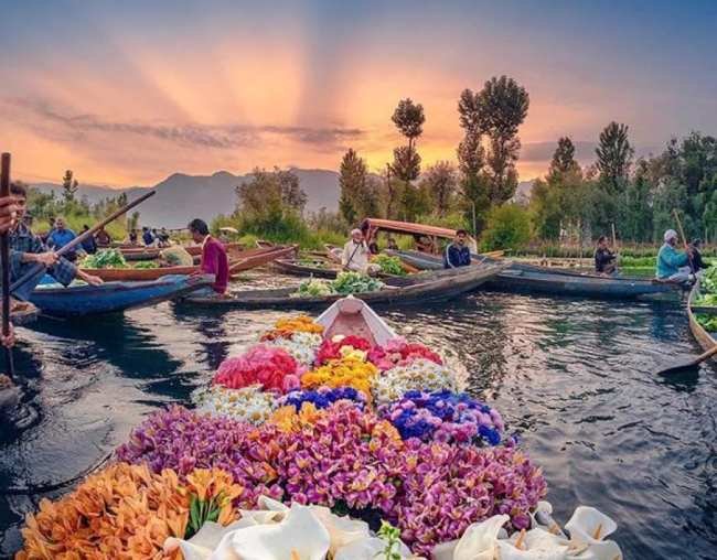 Included Dal Lake shikara ride on a budget Kashmir tour