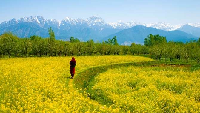 Habba Khatoon Peak rising over Gurez Valley Kashmir