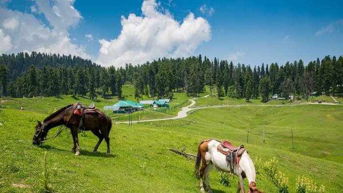 Dal Lake houseboat night on a Kashmir 3 nights 4 days package