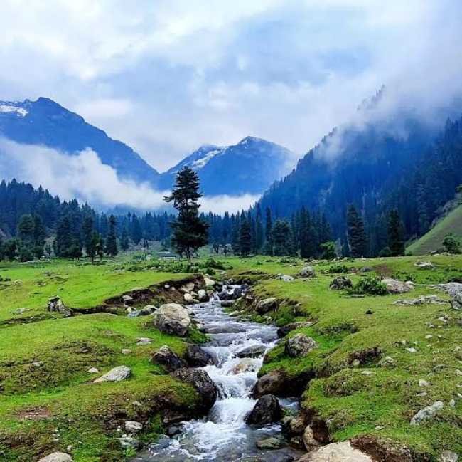 Srinagar tour packages from Pune - Dal Lake houseboat and shikara