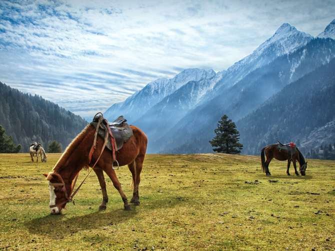 4 Srinagar packages from Delhi - budget family honeymoon luxury
